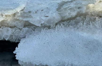 Ferienwohnung-SonnenMeer - Photo 24