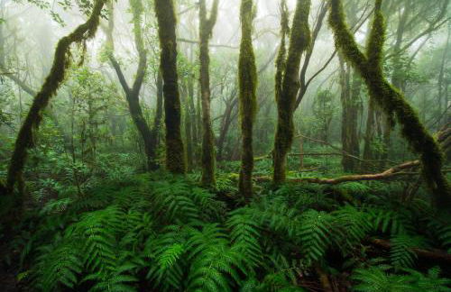 Casa Julia atico vistas playa Las Teresitas - Foto 7