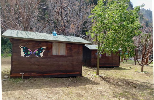 Kelebekler Vadisi Butterfly Valley - Foto 31