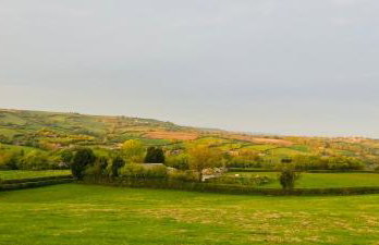 The Pigsty - Photo 2