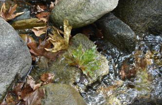 Capris Rustic Ηouse with Mountain View - Foto 48