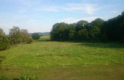 Gutshaus am Nationalpark Unteres Odertal - Foto 22