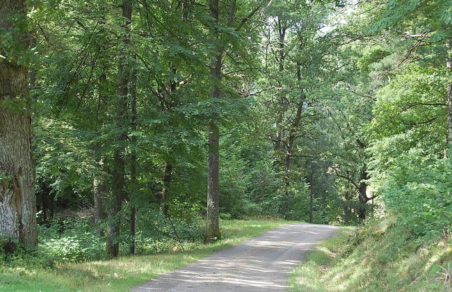 5 Person Holiday Home in Floda-by Traum - Foto 4