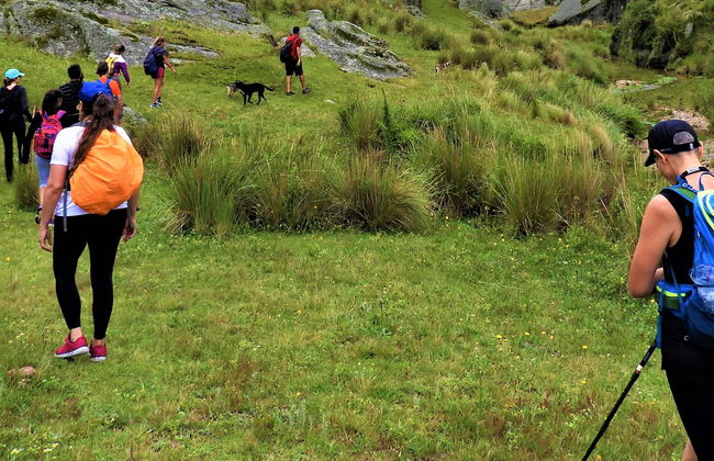 Ruta privada de trekking por Los Gigantes - Foto 11