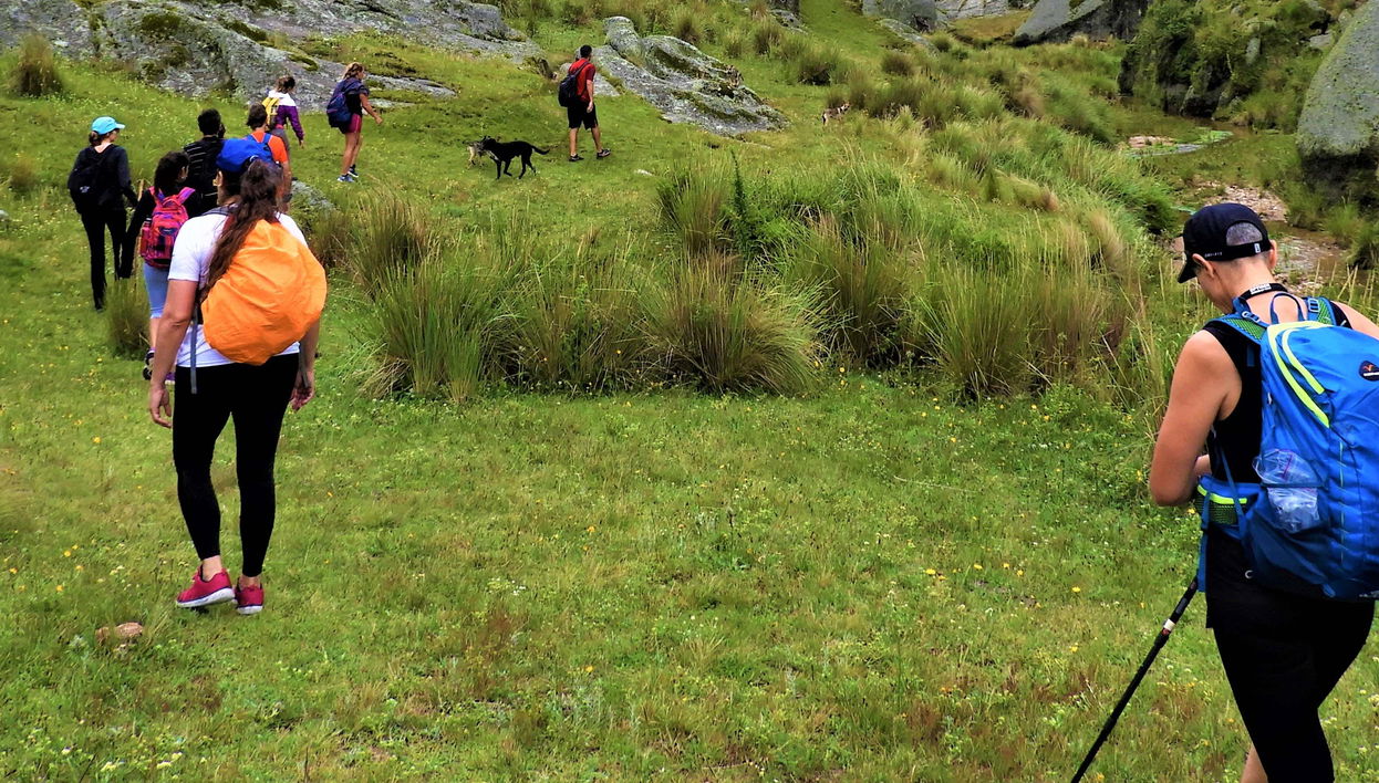 Los Gigantes Private Hiking Tours