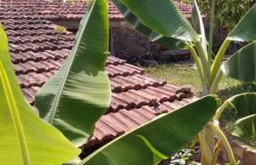 Rural House to take a Break, La Serreria 25 - Private garden - Foto 10