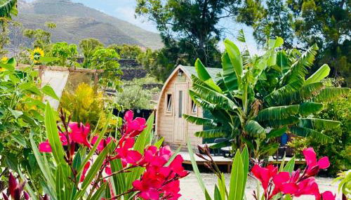 Nashira HOT TUB PISCINA Y JARDIN - Foto 5