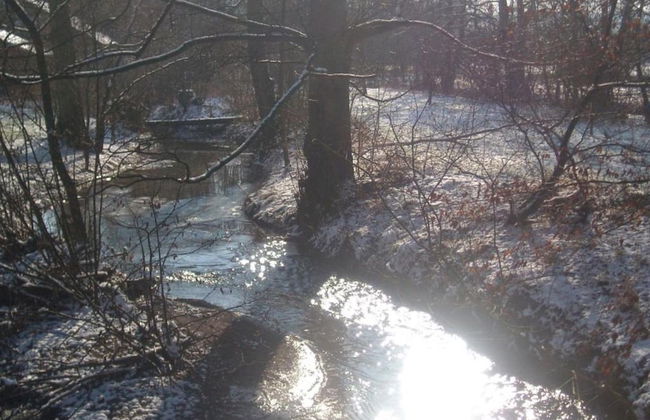 Cozy Holiday Home in Lesterny near Lake - Foto 24