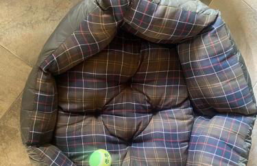 A Painza Aldea Rural - Foto 35