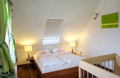 Jungingers Aparthotel - Foto 34