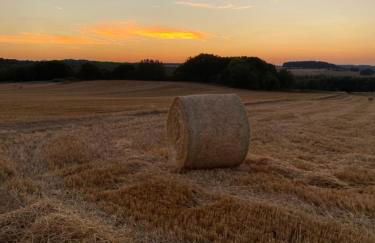 Holzhaus Onkel Fritz mit Sauna und Whirlwanne - Foto 30