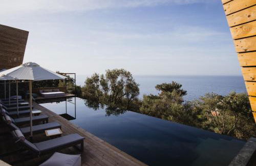 Five Olive Dream Trip - Photo 15