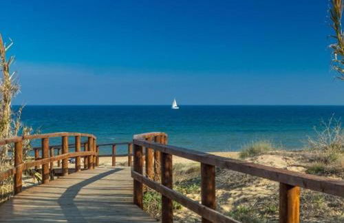 Costamar playa arenales del sol - Foto 38