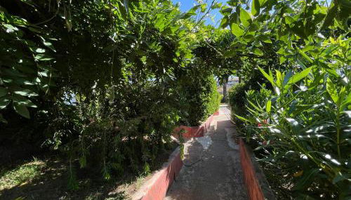 Le Râteau Bavoir - Foto 5, Garden, Garden view