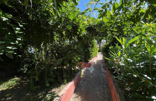 Le Râteau Bavoir - Foto 5