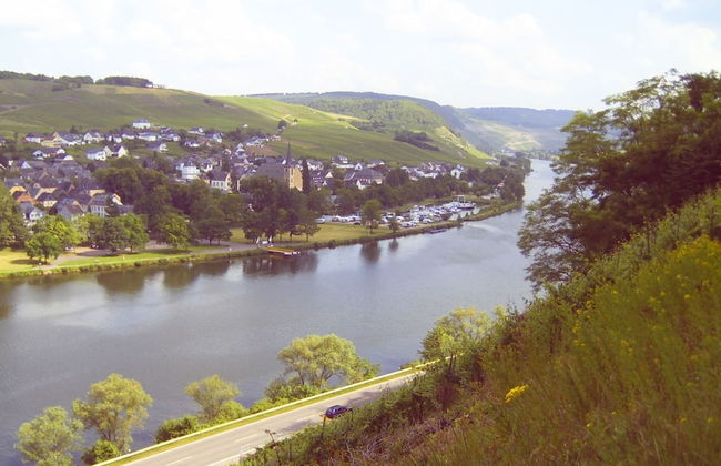 Modern Holiday Apartment With Large Garden Near the River Moselle - Photo 35