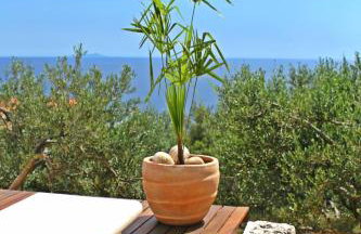 Villa Perka - Photo 158