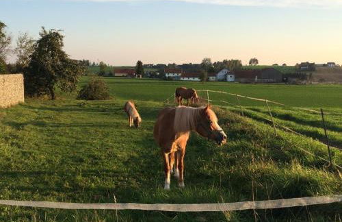 Ferienhof Löw - Photo 8