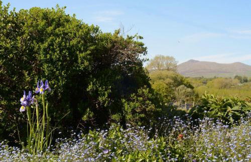 The Longhouse - Foto 21