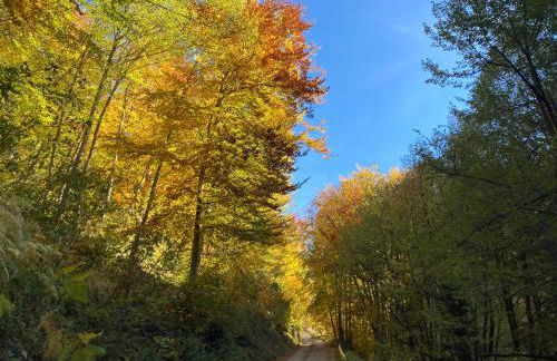 SlowCasa - VILLA Garden & Pool - Foto 6