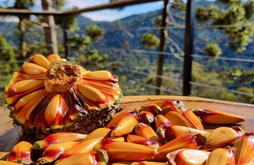 Cabana Amores da Serra Urubici - Photo 46