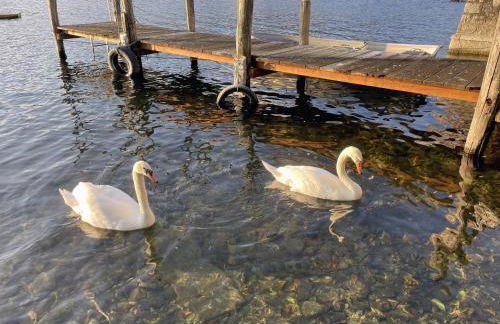 Appartamento vacanze al lago Orta San Giulio - Photo 27