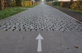 Ferien im Gartenrausch - Gönn Dir eine Auszeit im Herzen von Wörlitz - Foto 21