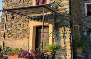 Maison de village 3 chambres 2 SDB avec terrasse & jardin - Proche St Florent - Foto 3