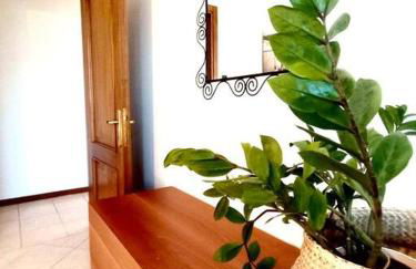 Relax nelle colline del Prosecco - Foto 14