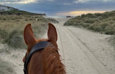 Morthana Shepherd Hut - Foto 14