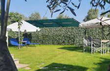 BS Village green - Photo 12