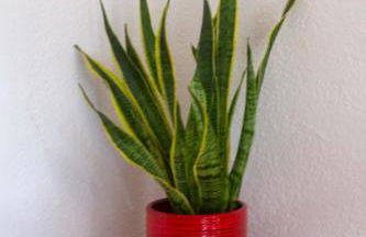 Parc Golfet - Apartamento para 3 con WiFi, AC y Piscina - Foto 7