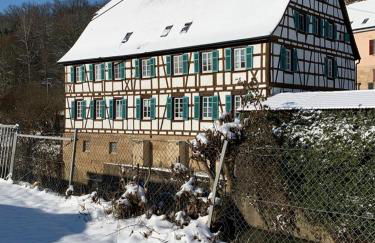 Grand Apt 1777 Neckarmühle - Foto 2