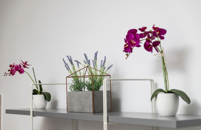 Bay View Gardens Apt 3 - Foto 17