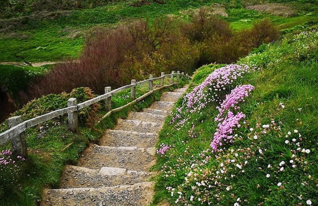 1bed Cottage Sleeps 2 - Enclosed Garden, Pets, Bbq - Foto 10