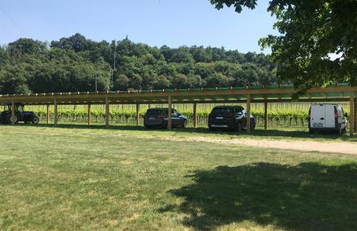 Agriturismo Sambuco - Photo 57