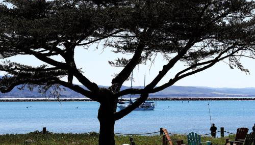 A little piece of heaven... - Foto 3