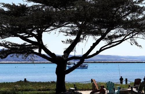 A little piece of heaven... - Foto 3