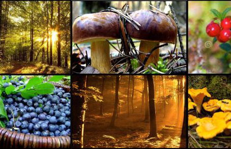 Domek nad jeziorem/Seehaus 2 (Sławno/Łętowo) - Foto 47