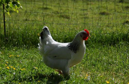 Loft am Diek - Foto 39