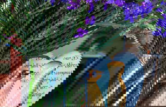 Berluda Farmhouse & Cottages - Photo 2