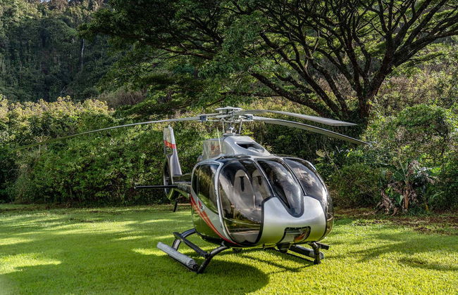Hana Rainforest Helicopter Ride - Foto 3