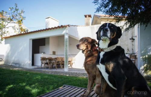 12 Casa d'Avó - Foto 8