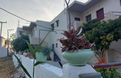 Vitamin sea Studio - Foto 21