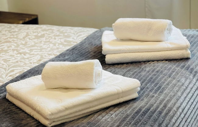 Apartahotel Canfranc - Foto 13