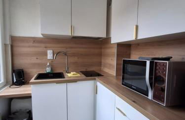 Metz Port Saint Marcel - Foto 15