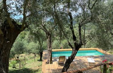 Podere Il Piantoneto - Foto 1