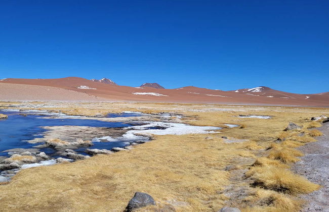 Atacama Salt Flats Tour - Photo 4