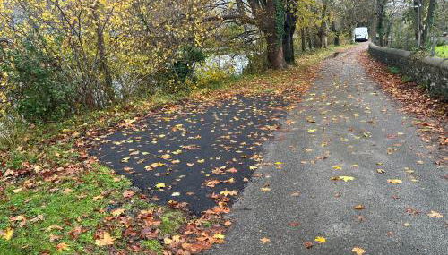 Au bord du gave - Foto 3