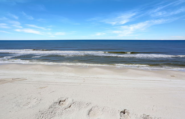 Ramblin Wreck - Foto 32